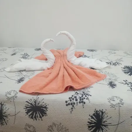 Apartman Apartma Eli *