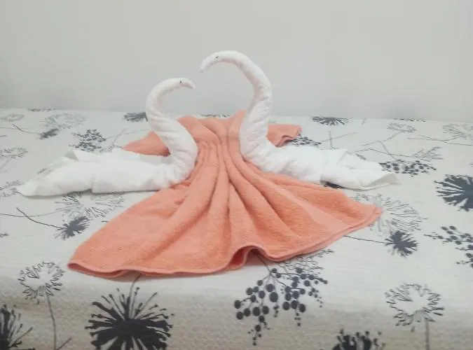 Appartement Apartma Eli *